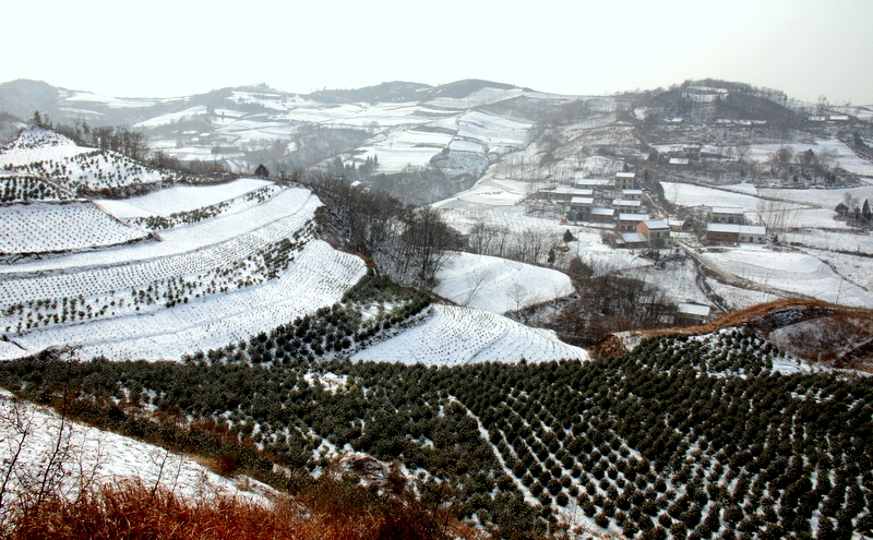 DSC_1846.jpg