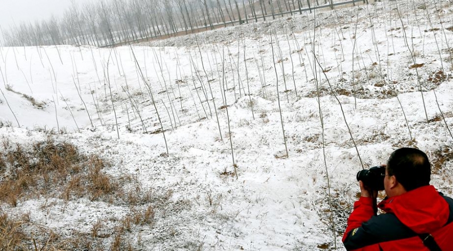 沙窝素装 (1).jpg