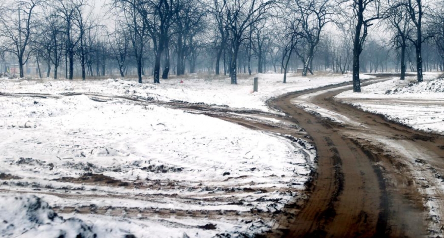 沙窝素装 (10).jpg