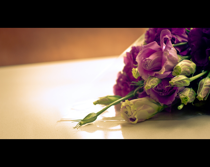 _MG_6084.jpg