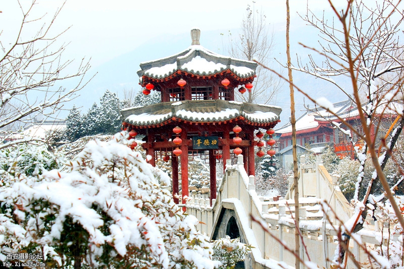 IMG_9058_副本.jpg