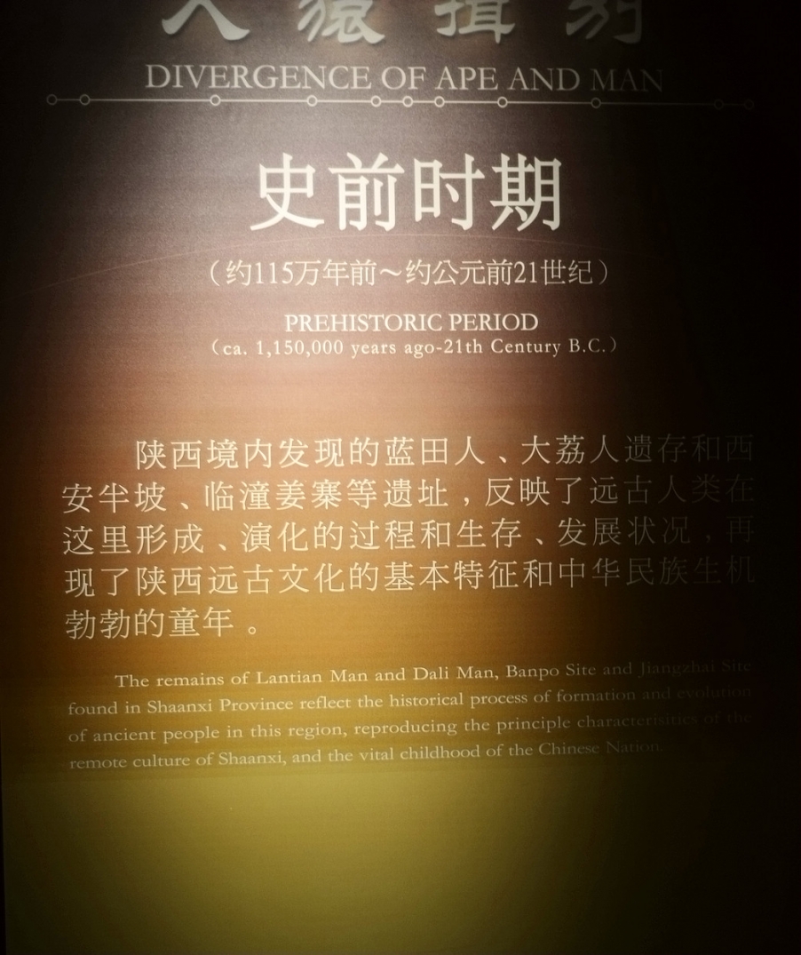 d600最近拍摄的 212.JPG