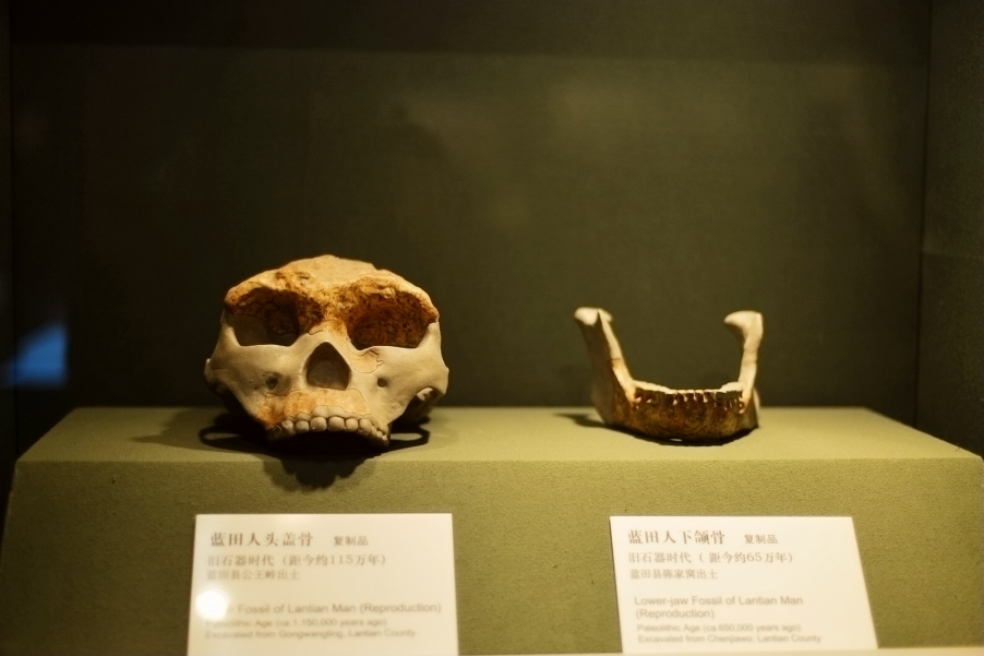 d600最近拍摄的 246.JPG