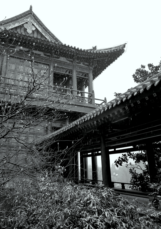 P1110769-001.JPG