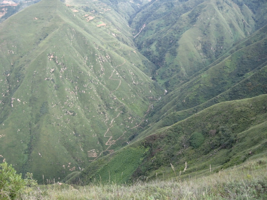 200699220133-495.jpg