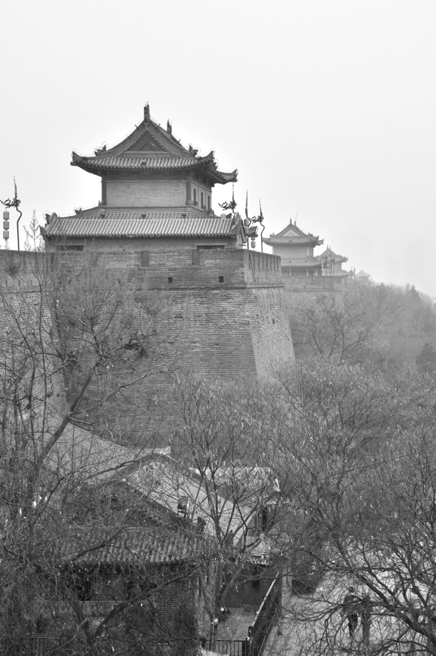 DSC_0081.jpg