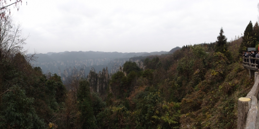 DSC02970.JPG