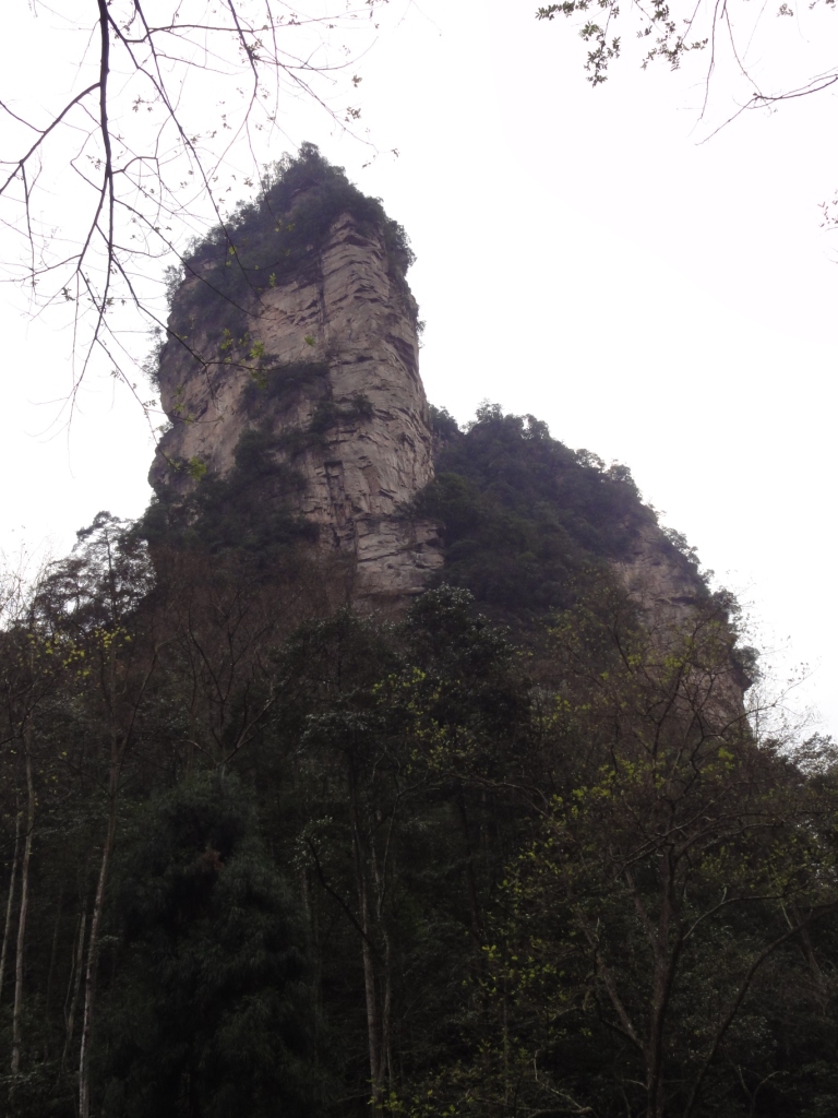 DSC02785.JPG