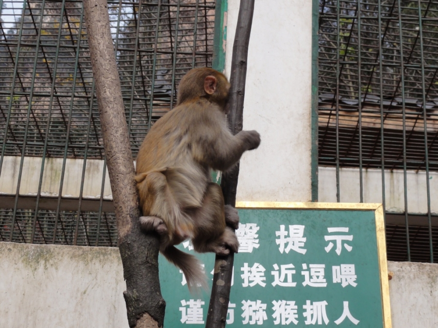DSC03050.JPG