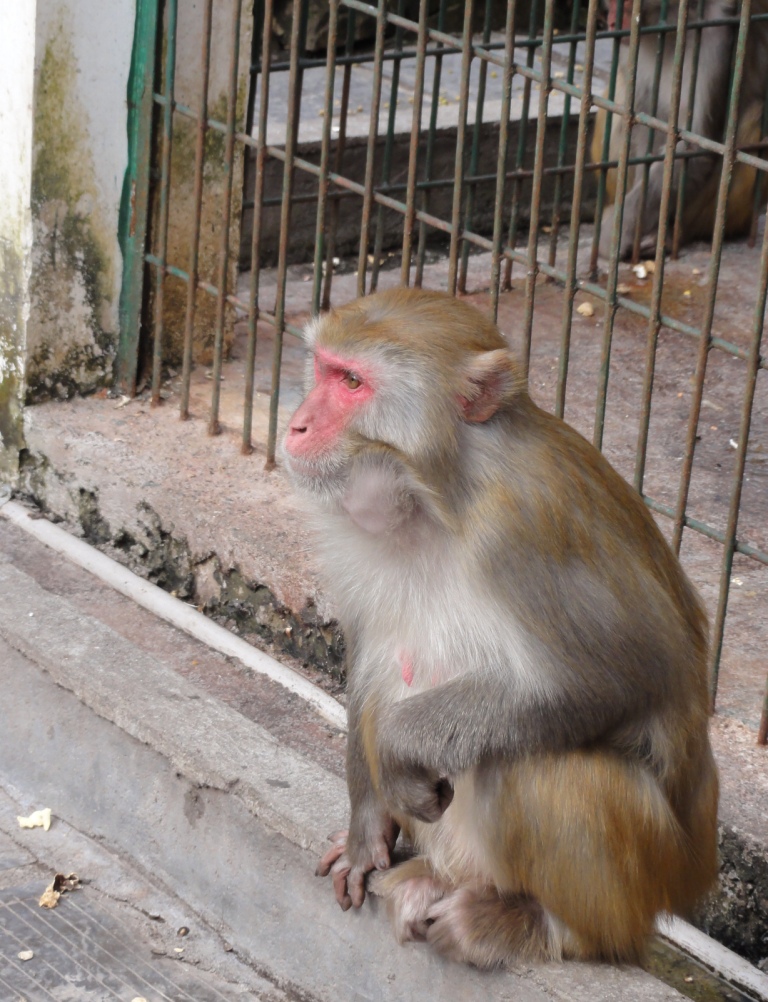 DSC03054.JPG