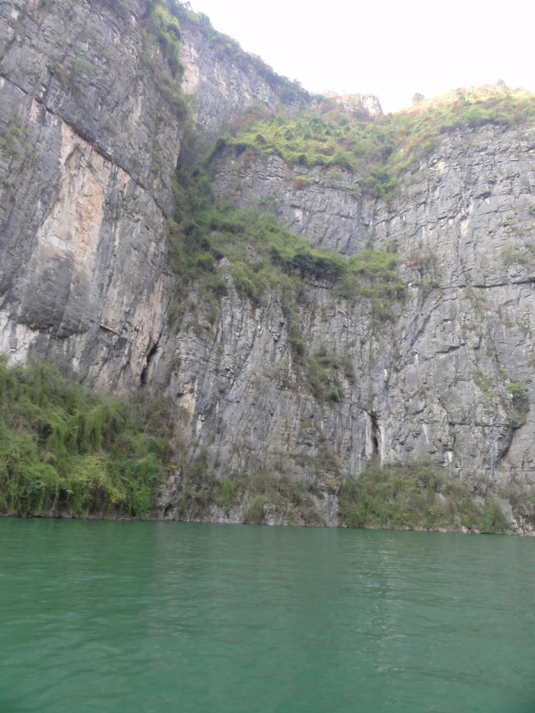 DSC02395.JPG