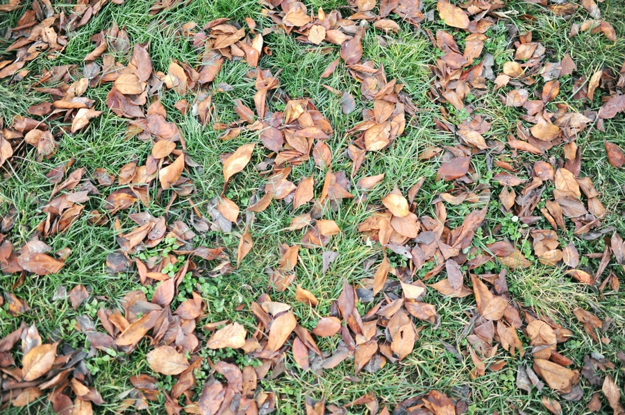 DSC_5064.jpg