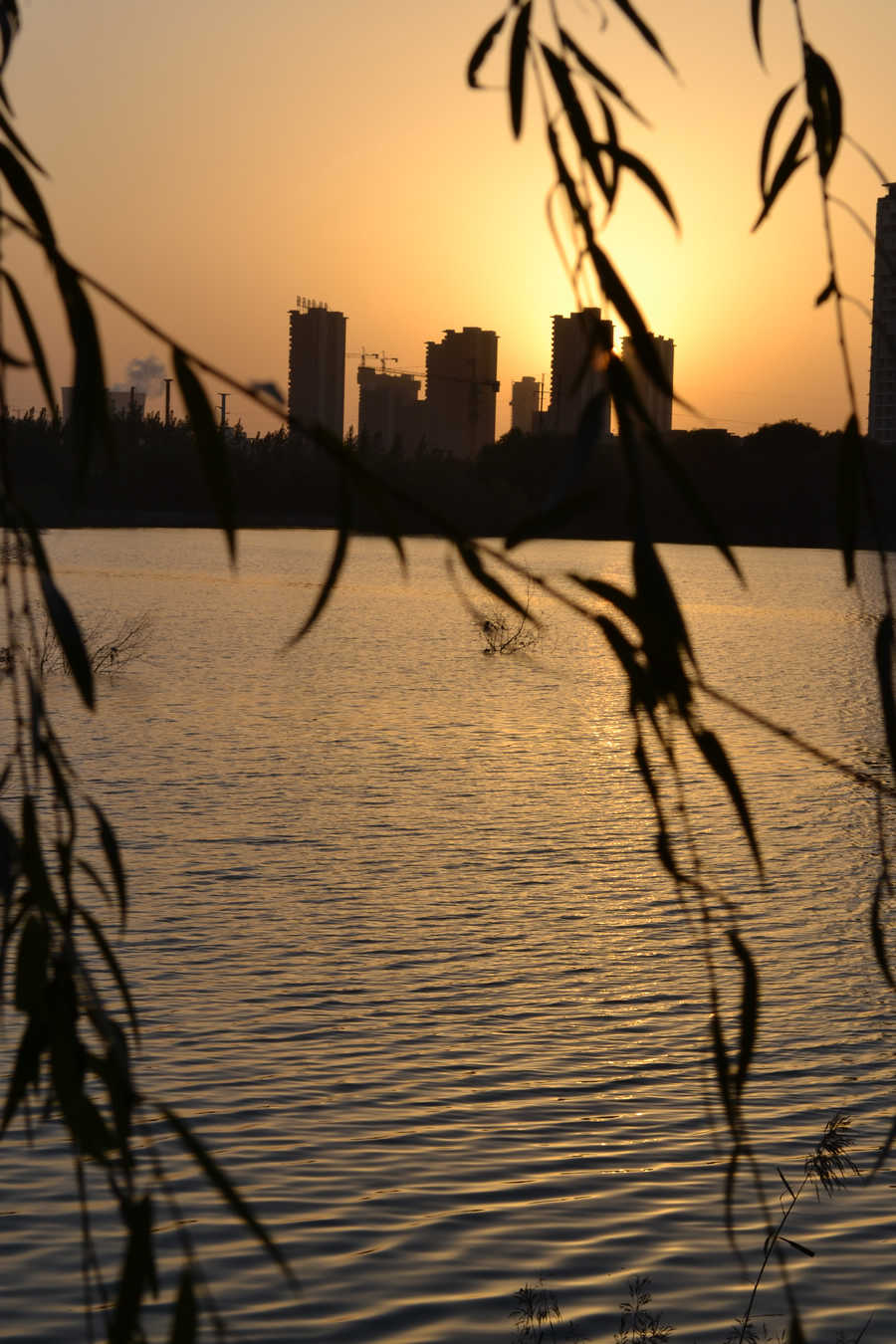 DSC_0146.JPG