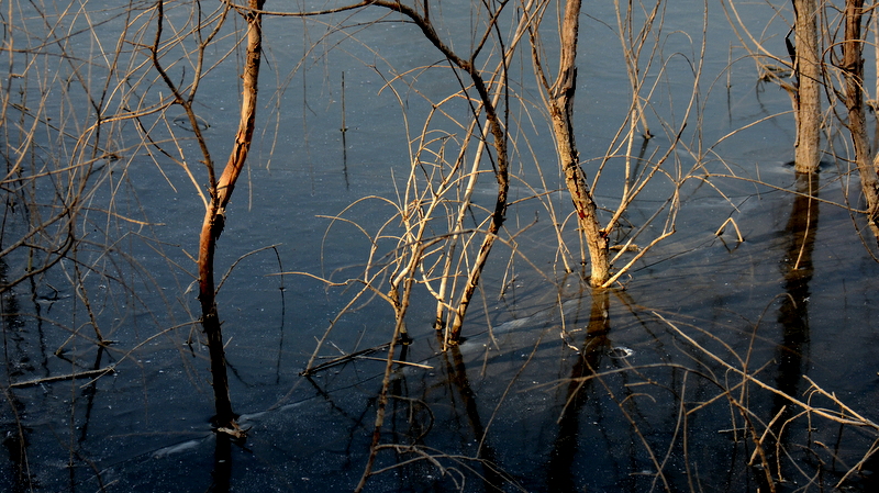 DSC_2026.jpg