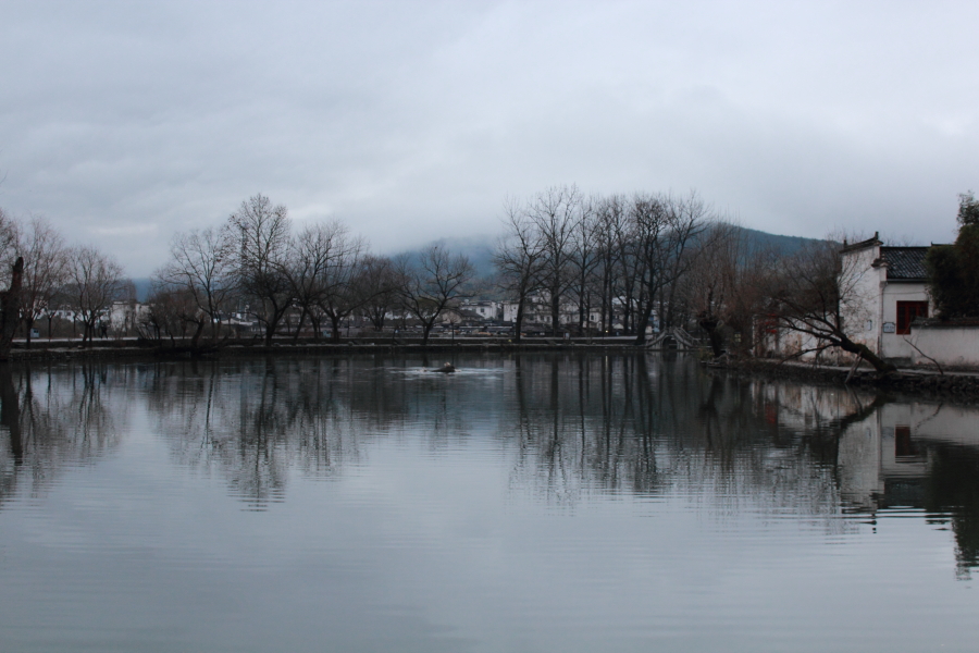 DPP_0116.JPG