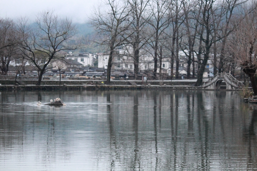 DPP_0117.JPG