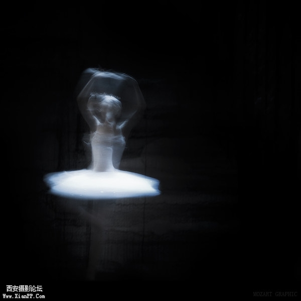 4030470.jpg