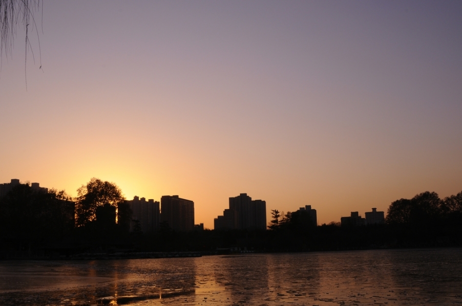 _DSC0388.JPG