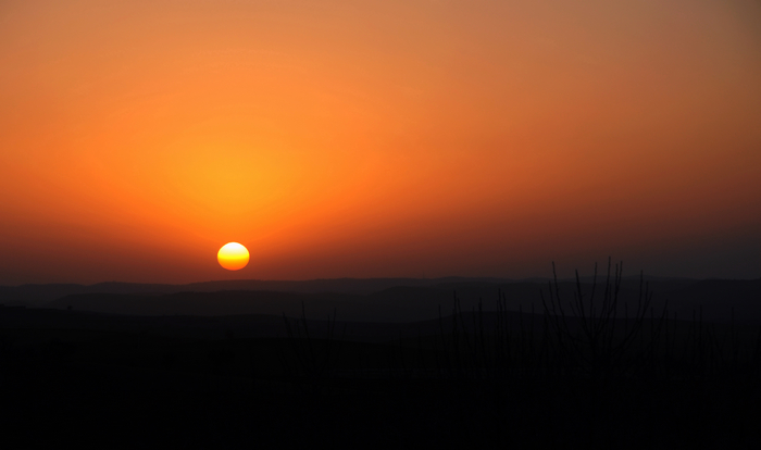 DSC_1508.JPG