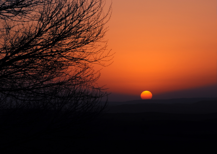DSC_1513.JPG