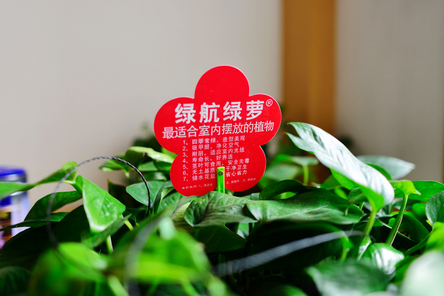 大叔家拍摄.jpg