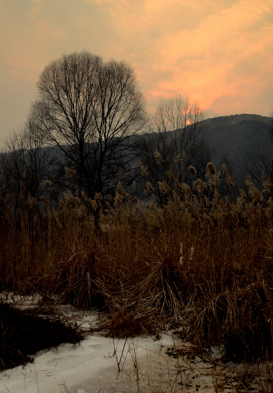 DSC_2210.jpg