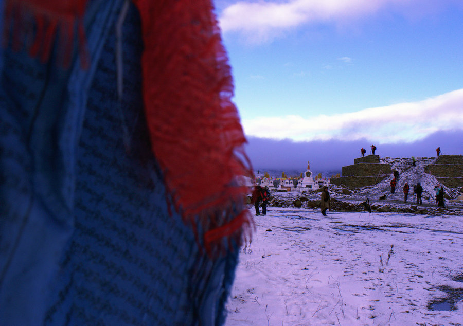 L1023016.jpg