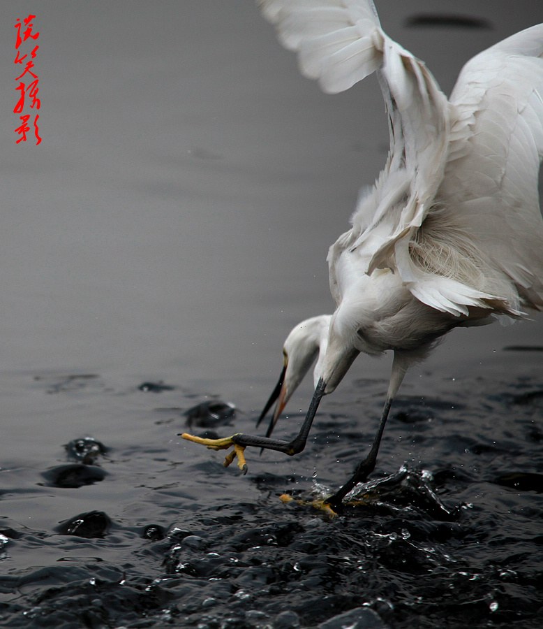 2013元月二四日 344A_conew1.jpg