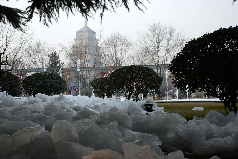 DSC_0477.JPG