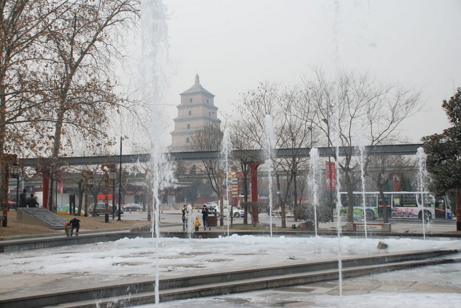DSC_0492.JPG