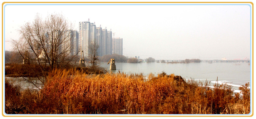 IMG_5435 副本_副本.jpg