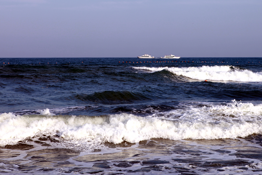 _MG_1568.jpg