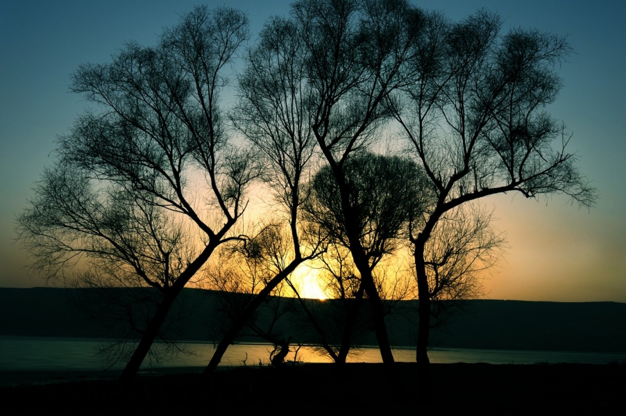 DSC_1917.jpg