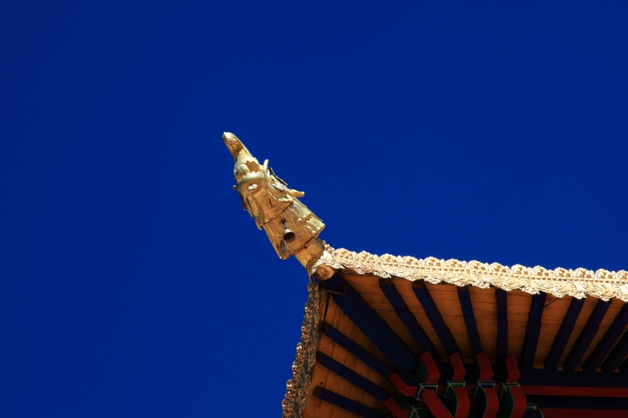 _MG_5174.JPG