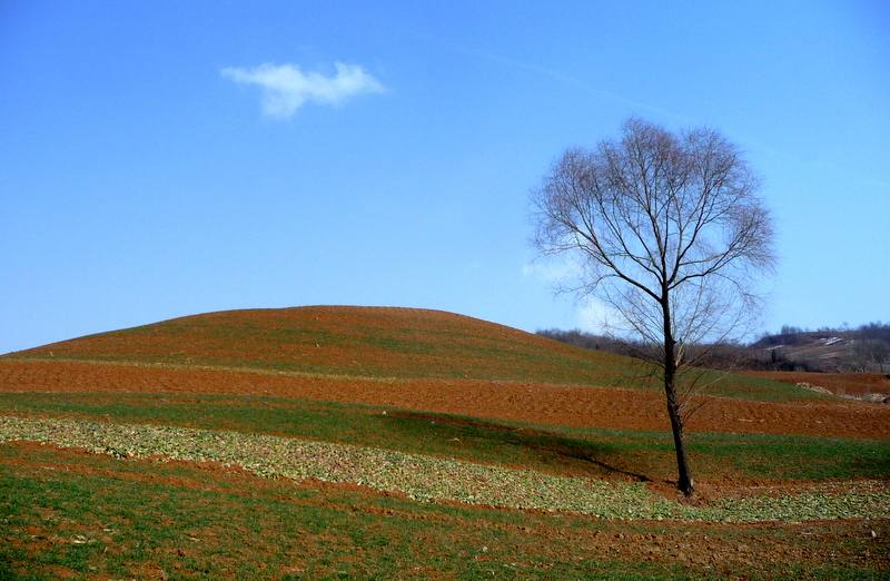 P1120140.JPG