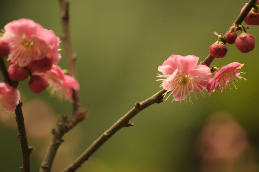 2013.1.20 018.jpg