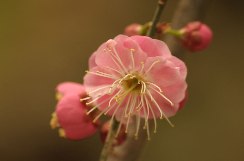 2013.1.20 02516.jpg