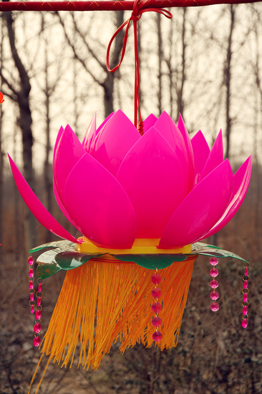 兴教寺 075_副本.jpg