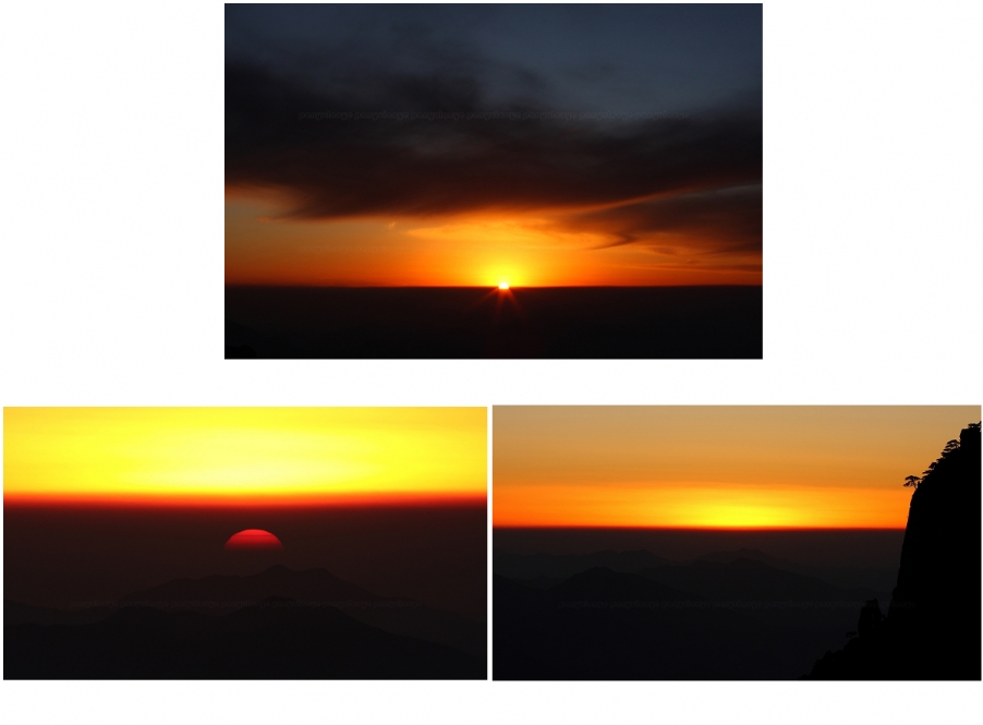 1250888_1327479330.jpg