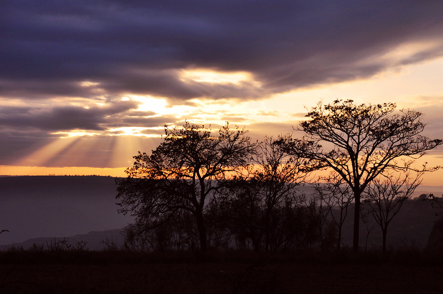DSC_0973.JPG