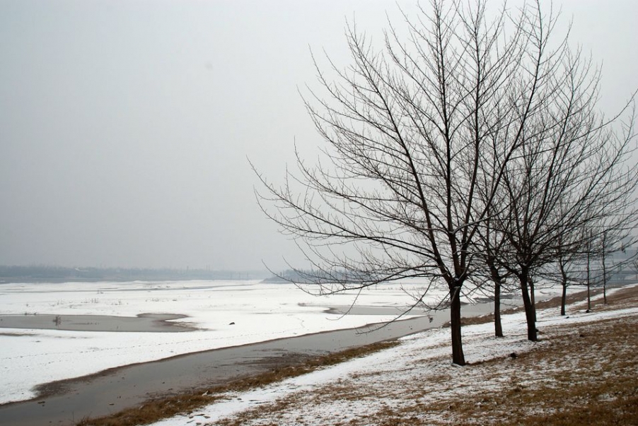 IMGP2693.jpg