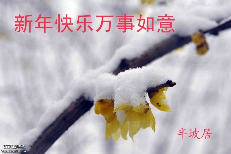 nEO万事如意9881.jpg