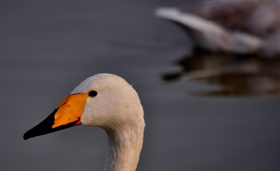 DSC_0024.jpg