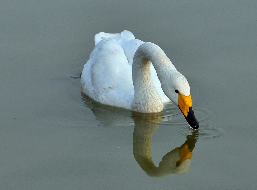 DSC_0031.jpg