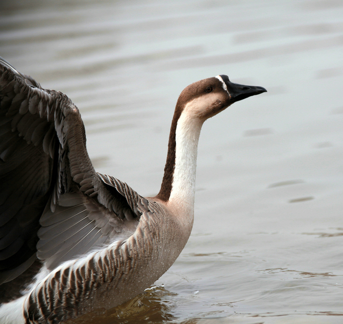 20130213世园会 (52)_副本.jpg
