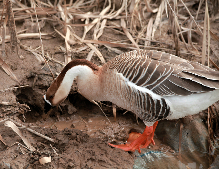 20130213世园会 (61)_副本.jpg