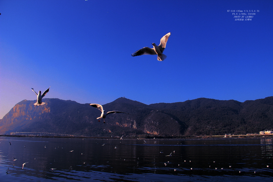 IMG_8384_副本.jpg
