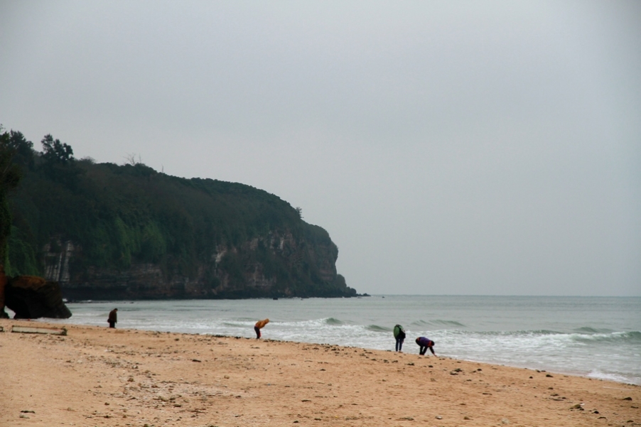 广西涠洲岛 417.jpg