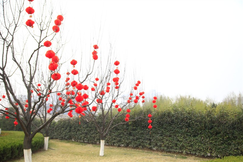 照片 067.jpg