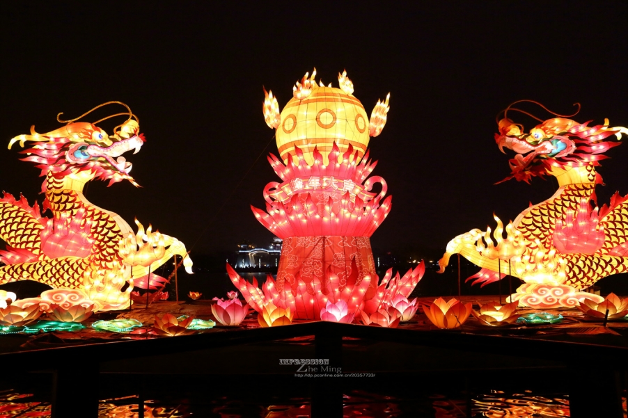 大唐芙蓉园灯展034.jpg